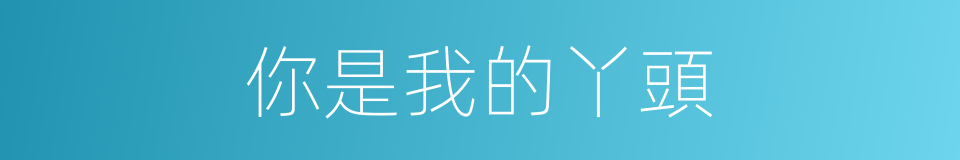 你是我的丫頭的同義詞
