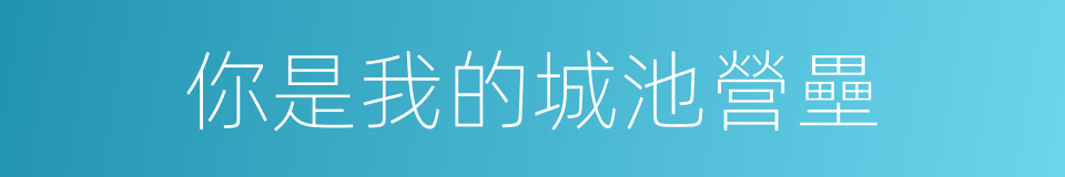 你是我的城池營壘的同義詞