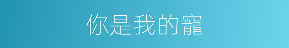 你是我的寵的同義詞