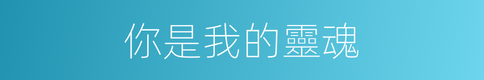 你是我的靈魂的同義詞