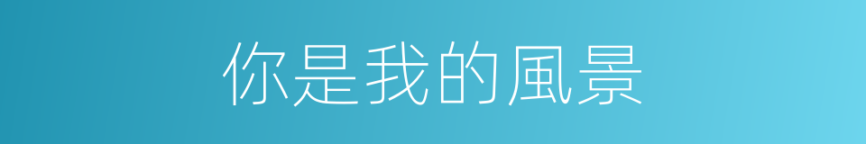 你是我的風景的同義詞