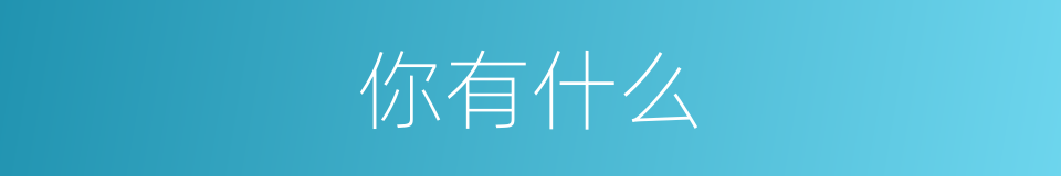 你有什么的意思