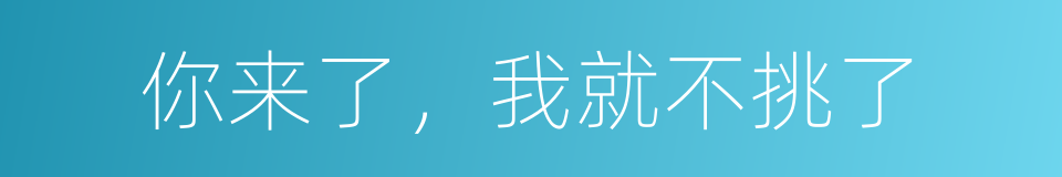 你来了，我就不挑了的同义词