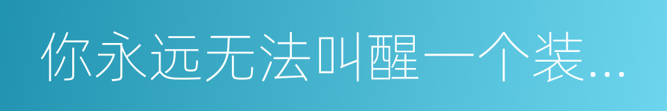 你永远无法叫醒一个装睡的人的同义词