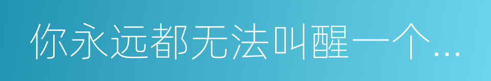 你永远都无法叫醒一个装睡的人的同义词