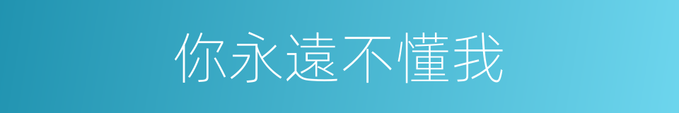 你永遠不懂我的同義詞