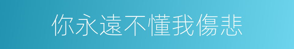 你永遠不懂我傷悲的同義詞