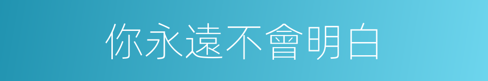 你永遠不會明白的同義詞