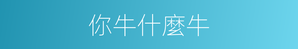你牛什麼牛的同義詞