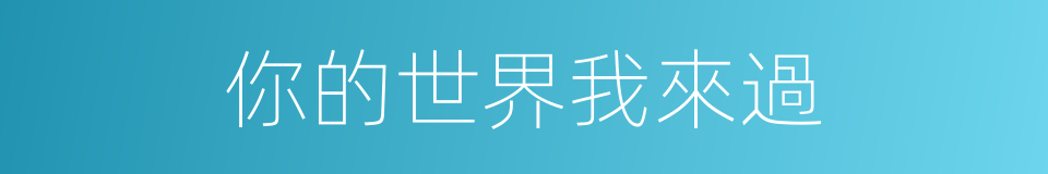 你的世界我來過的同義詞