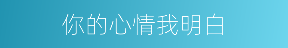你的心情我明白的同义词
