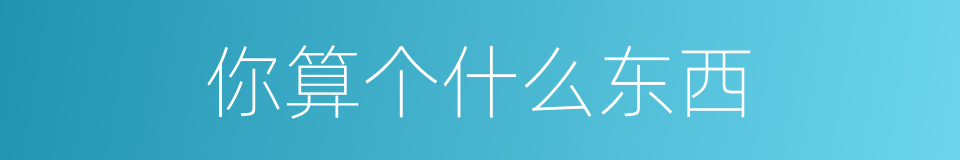 你算个什么东西的同义词
