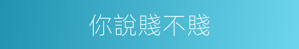 你說賤不賤的同義詞