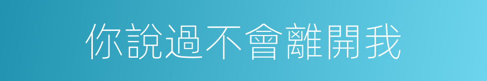 你說過不會離開我的同義詞