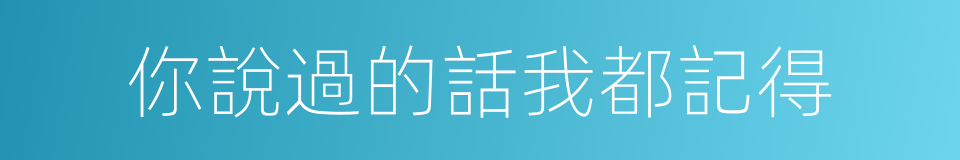 你說過的話我都記得的同義詞