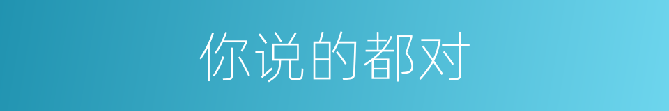 你说的都对的同义词