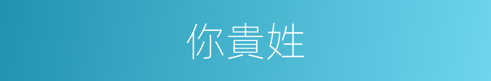 你貴姓的同義詞