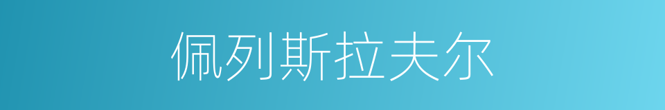 佩列斯拉夫尔的同义词