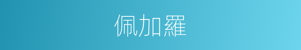 佩加羅的同義詞