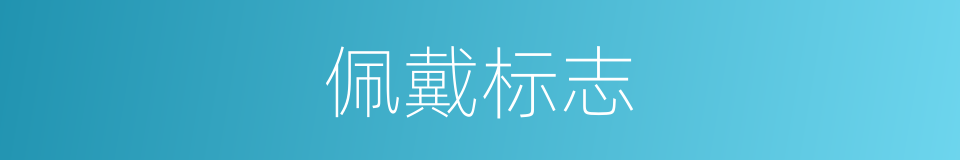 佩戴标志的同义词