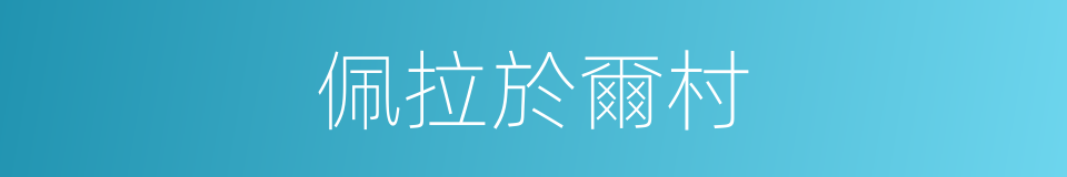 佩拉於爾村的同義詞