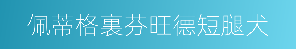 佩蒂格裏芬旺德短腿犬的同義詞