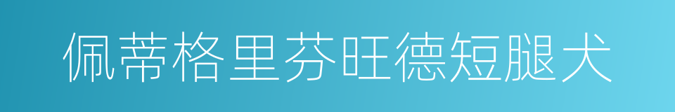 佩蒂格里芬旺德短腿犬的同义词