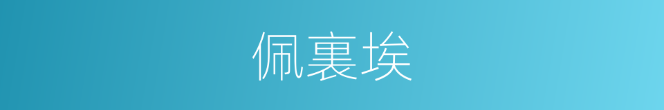 佩裏埃的同義詞