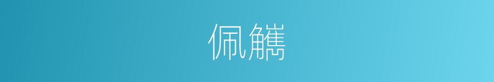 佩觽的意思