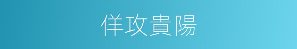 佯攻貴陽的同義詞