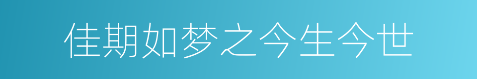 佳期如梦之今生今世的同义词