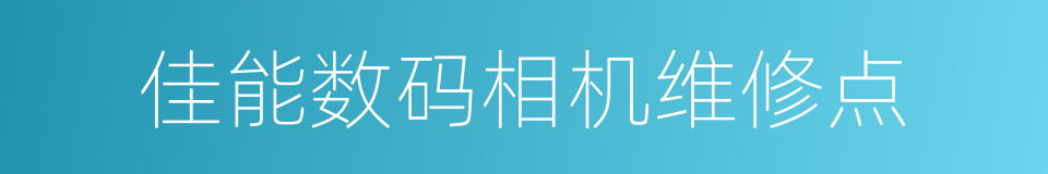 佳能数码相机维修点的同义词