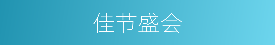 佳节盛会的同义词