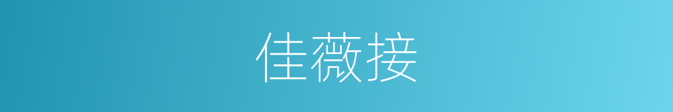 佳薇接的同义词