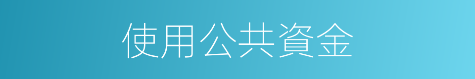 使用公共資金的同義詞