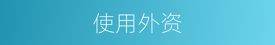 使用外资的同义词