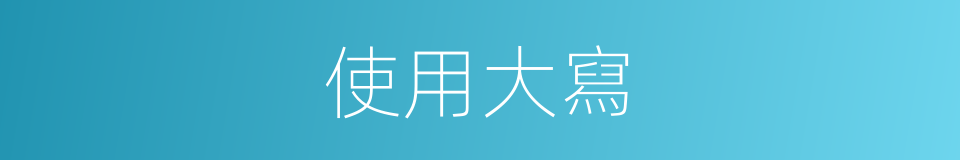 使用大寫的意思