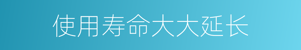 使用寿命大大延长的同义词