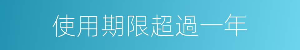 使用期限超過一年的同義詞