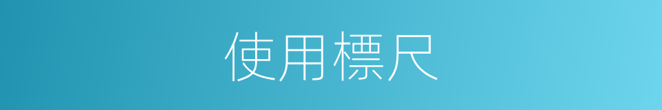 使用標尺的同義詞