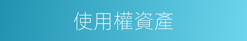 使用權資產的同義詞