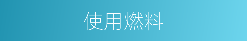 使用燃料的同义词