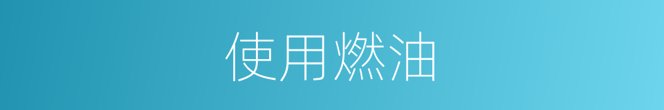 使用燃油的同义词