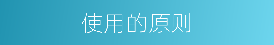 使用的原则的同义词
