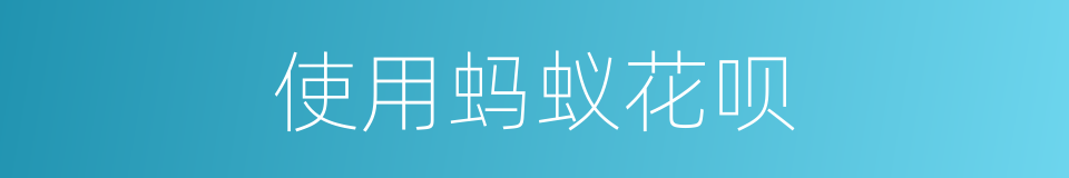 使用蚂蚁花呗的同义词
