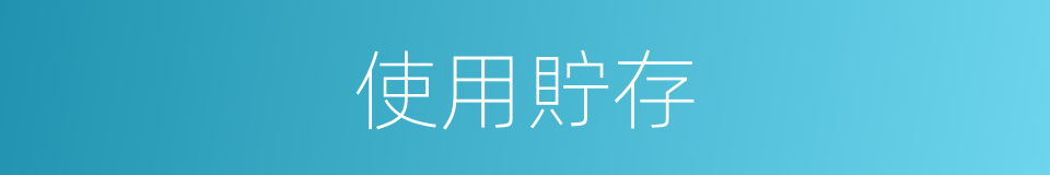 使用貯存的同義詞