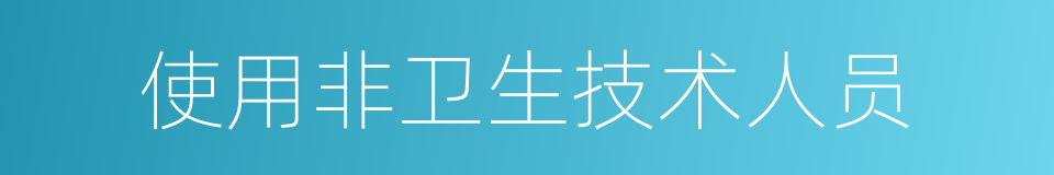 使用非卫生技术人员的同义词