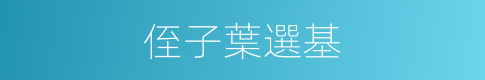 侄子葉選基的同義詞