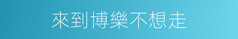來到博樂不想走的同義詞