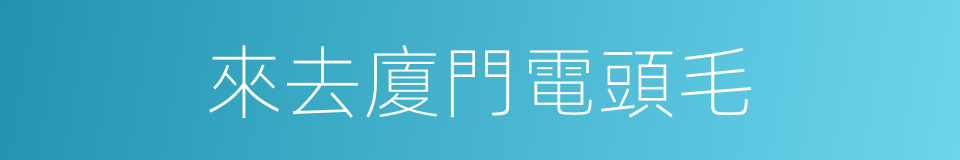 來去廈門電頭毛的同義詞